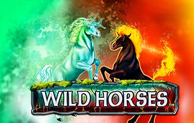 Wild Horses